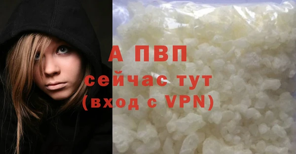 ПСИЛОЦИБИНОВЫЕ ГРИБЫ Краснослободск