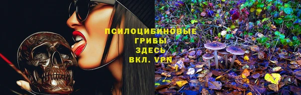 ПСИЛОЦИБИНОВЫЕ ГРИБЫ Краснослободск