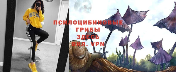 ПСИЛОЦИБИНОВЫЕ ГРИБЫ Краснослободск