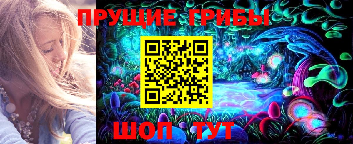 Галлюциногенные грибы Psilocybe Саяногорск