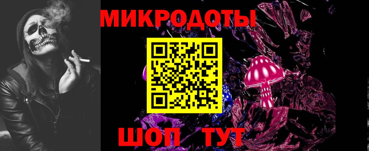 Псилоцибиновые грибы Cubensis Саяногорск